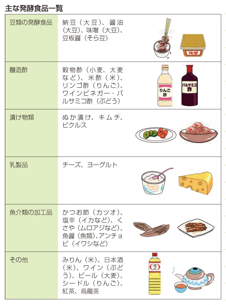 免疫力アップ！主な発酵食品一覧と効果 Hallom（ハロム）